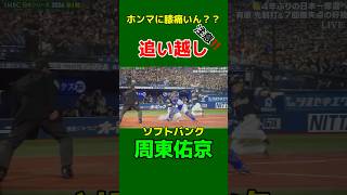 もはやスピード違反⁉️ ソフトバンク・周東佑京が日本シリーズで魅せた❗️ [upl. by Asikal704]