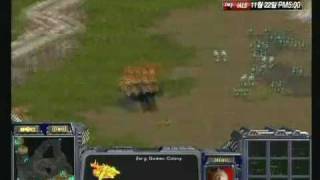 SPL Jaedong vs Sunny 20081118  Harmony [upl. by Hsinam]