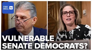 The Eight Most Vulnerable Senate Democrats In 2024 [upl. by Eliathan]