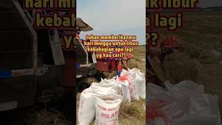 ndak kober libur bolo pejuangrupiah automobile combineharvester [upl. by Gnagflow]