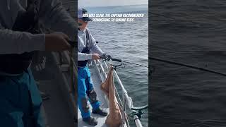 Catching Two Rockfish at a Time Half Moon Bay [upl. by Savage]