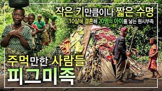 quot어쩔 수 없죠 신께서 저희를 작게 만드셨으니quot 덩치 큰 부족에게 밀려난 숲의 유랑민 하지만 누구보다 자유로운 영혼을 지닌 원시부족ㅣ주먹만한 사람들 피그미 족│골라듄다큐 [upl. by Ellynn]