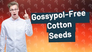 Is cotton seed safe to eat [upl. by Coheman]