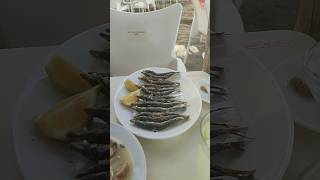 la receta de las 1300 😋 Los espetos de sardinas del Chiringuito El Trueno en Benajarafe Costa [upl. by Enyar]