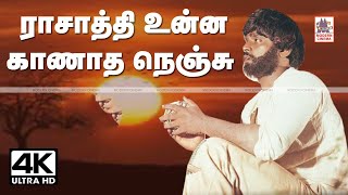 Rasathi Unna Kanatha Nenju  ராசாத்தி உன்ன காணாத  Ilaiyaraja Jayachandran [upl. by Nnylkoorb]