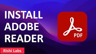 How to install Adobe Acrobat Reader on Windows 11 [upl. by Alexio]