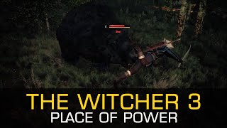 Place of Power MONSTER BONE RELIC ABILITY POINT NOVIGRAD VELEN  The Witcher 3 Wild Hunt Gameplay PC [upl. by Kally992]