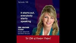 Sen Heather Cloud on Crafting Legislation [upl. by Aneahs448]