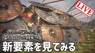 路地裏ってあんまり収益にならない？114 PC版 steam【Mount amp Blade II Bannerlord マウントアンドブレイド２】 [upl. by Padgett843]