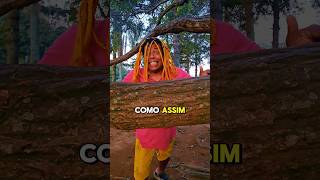 ELE ACHOU UMA ARVIRE MAGICA  humor comedyvideo edbrow [upl. by Aramat]