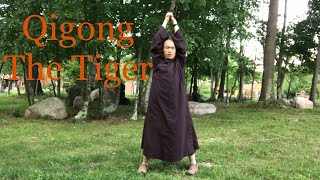 Qigong The Tiger5 Minute Qigong [upl. by Ned299]