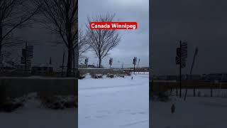 Canada Winnipeg December 2024 shorts youtubeshorts viralshorts trendingshorts [upl. by Aratahc]