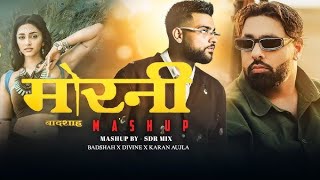 Lofi Morni song Mp3 l Badsha l mp3 song [upl. by Alludba503]