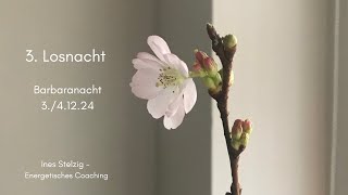 3 Losnacht 🌠 Barbara Nacht 🌸 Was bringst Du zum Erblühen tarotreading [upl. by Ezequiel]