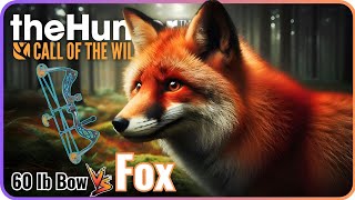 Ultimate Bow Hunting Challenge 60lb Bow vs Red Fox [upl. by Eninotna]