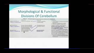 CEREBELLUM  Morphological and Functional Subdivisions of Cerebellum  Dr Azmi Mohsin [upl. by Yggam]