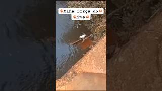 💥Olha força do ima 💥Mais um achado na Pesca Magnetica hobby pesca pesquise neodimio [upl. by Laufer665]