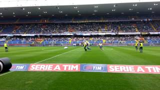 Sampdoria  Napoli Invasione di campo Stadio Luigi Ferraris Genova 11052014 [upl. by Zelikow]