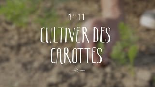 Cultiver des carottes [upl. by Shanney]