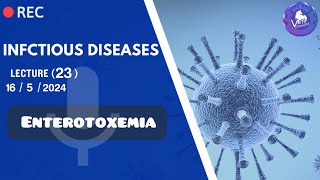 INFECTIOUS  Enterotoxemia  Dr Samar Atwa [upl. by Shari]