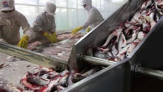 Catfish Breeding Process And Modern Pangasius Processing Line In Vietnam To Export  Vietgreen Farm [upl. by Lorie175]