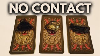 NO CONTACT PICK A CARD TIMELESS TAROT READING [upl. by Ymrej]