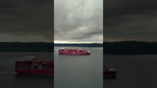 Container Vessel on the Way Out Amazing Maritime Journey [upl. by Ball797]