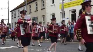 Twelfth July Dungannon 2014 [upl. by Eurd410]