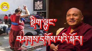 HH Karmapas speech about confession rumtekkarmaekhenpo karmapa rinpoche tibettv confession [upl. by Cailean]