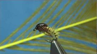 Tying a Pheasant Tail Caddis Pupa by Davie McPhail [upl. by Brandes]