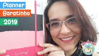 Meu PLANNER baratinho 2019  Tilibra [upl. by Latisha]