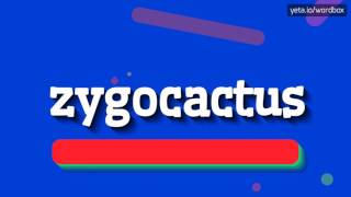 ZYGOCACTUS  HOW TO PRONOUNCE IT [upl. by Aleydis]