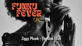 Ziggy Phunk  The One I Luv [upl. by Eissehc818]