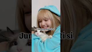 Jenlisa version blackpink blinkies kpop blinkies [upl. by Dranek]