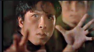 Competition in the RingDonnie yen best fight [upl. by Yanat]