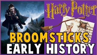 Why They Use Broomsticks  Early History Harry Potter Lore [upl. by Nnylatsirk]