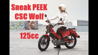 Sneak PEEK NEW 2025 CSC Wolf 125 Town and Trail Motorcycle [upl. by Dov534]