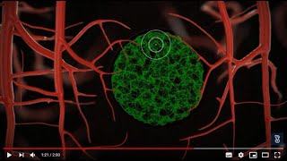 Shulamit Levenberg Vascularizing Engineered Tissue in Lab Technion [upl. by Luhey]