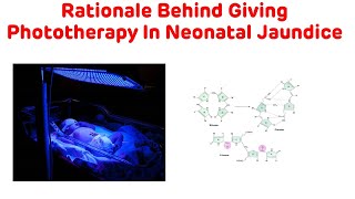 Mechanism of Phototherapy In Neonatal Jaundice  Phototherapy In Neonatal Jaundice [upl. by Dej]