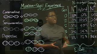 MESELSON AND STAHL EXPERIMENT [upl. by Nilok]