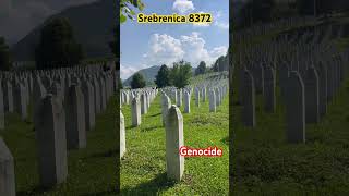 Srebrenica Graveyard  bosnia bosnian palestine [upl. by Shriner485]