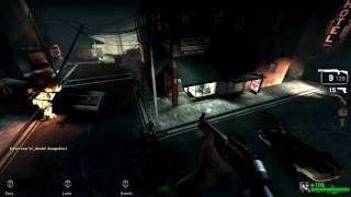 PC Left 4 Dead Easy Way to Kill 53595 Zombies Zombie Genocidest Achievement Guide HD [upl. by Leasim]