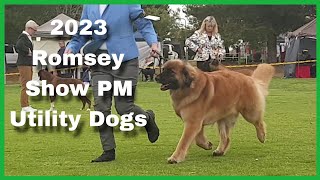 2023 Romsey Show PM  Utility Dogs [upl. by Irmine]