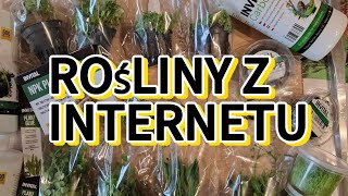 Zamówiłem rośliny przez internet [upl. by Huber]