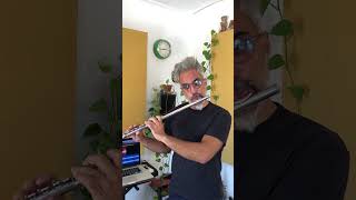 Armandos Rhumba · Chick Corea solo transcription on flute [upl. by Hedley22]