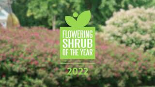 Flowering Shrub of the Year 2022 [upl. by Carny]