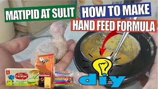 HOW TO MAKE HAND FEEDING FORMULA FOR CONURE COCKATIEL PARROT BIRDS  DIY [upl. by Cochrane]