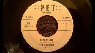 Capitols  Angel Of Love  Rarest Of The Rare Doo Wop Ballad [upl. by Entruoc]