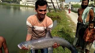 black carp fish fishing by fishing tackle and reviews angler ihad [upl. by Labotsirhc]