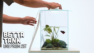 Simple Unique Betta Fish Tank  Ultum Nature Systems Prism [upl. by Harrod432]